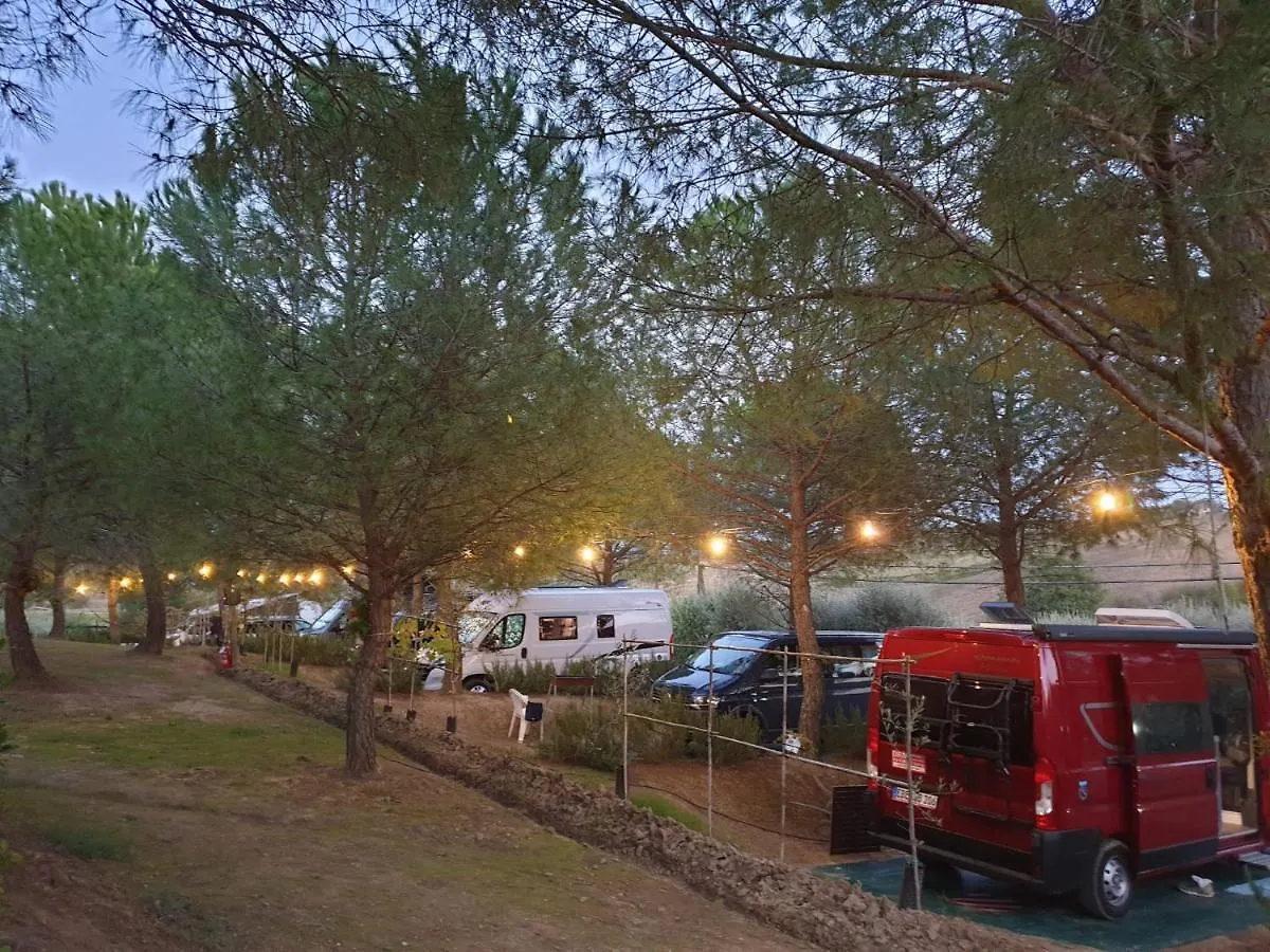 Agricamping Poggio Ai Pini Wine Camping Certaldo