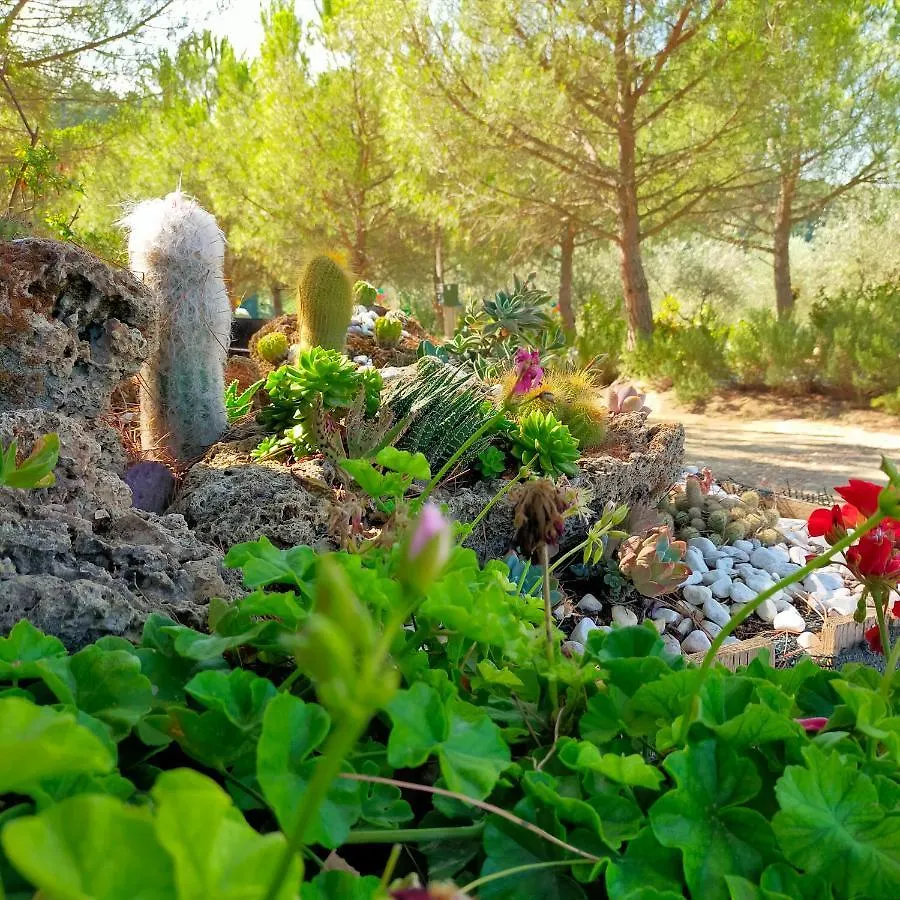 Agricamping Poggio Ai Pini Wine Camping Certaldo Italie
