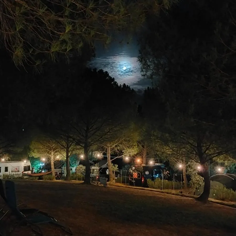Agricamping Poggio Ai Pini Wine Camping Certaldo