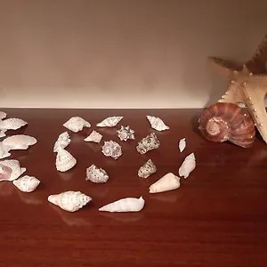 Casa Lo Scoglio Della Ballerina Appartement