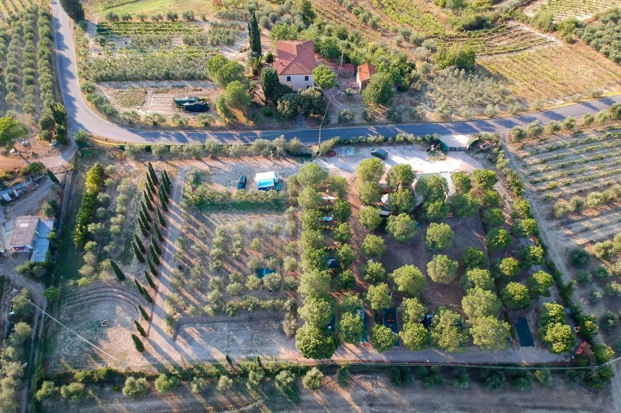 Agricamping Poggio Ai Pini Wine Camping Certaldo