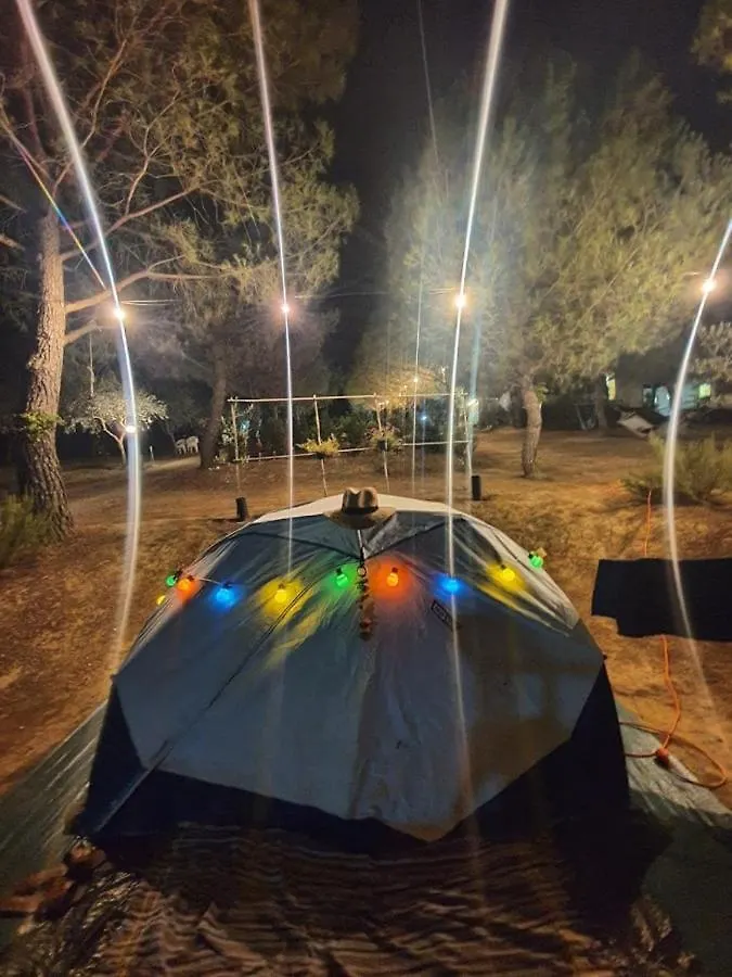 Agricamping Poggio Ai Pini Wine Camping Certaldo
