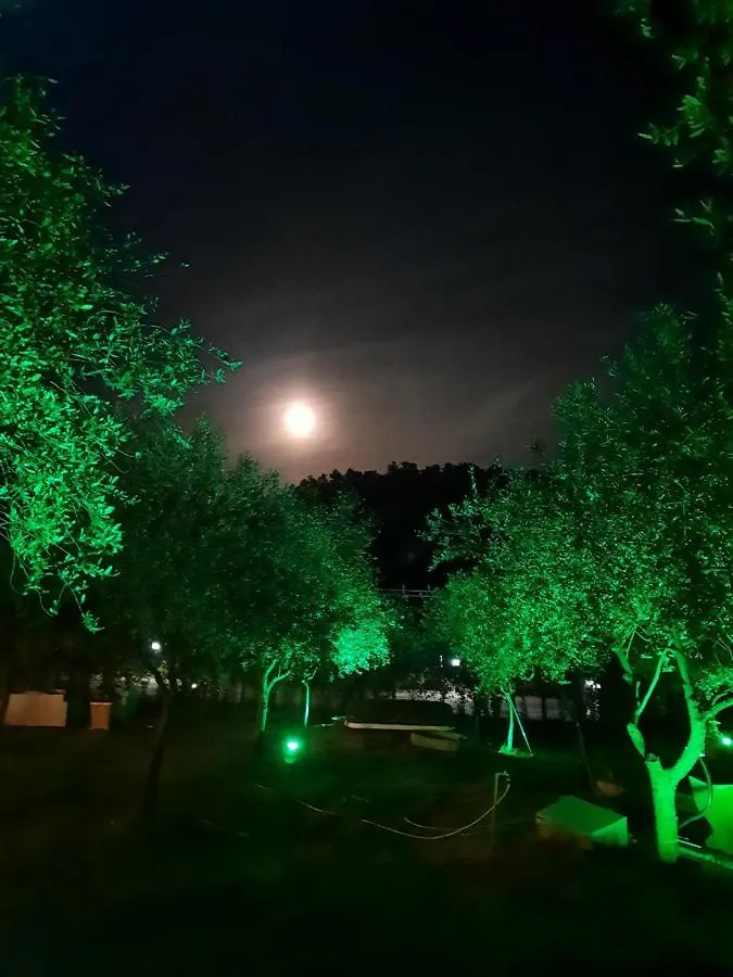 Agricamping Poggio Ai Pini Wine Camping Certaldo 0*,  Italië