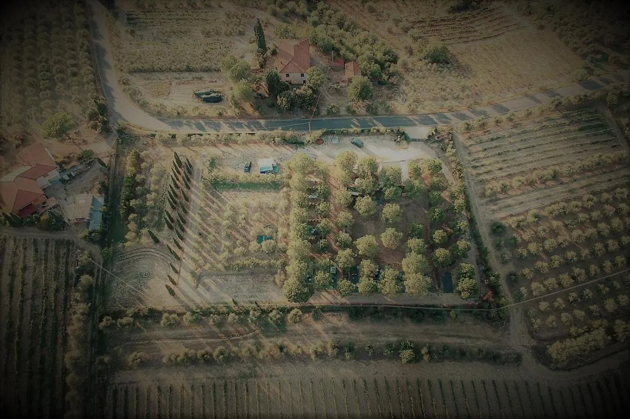 Agricamping Poggio Ai Pini Wine Camping Certaldo