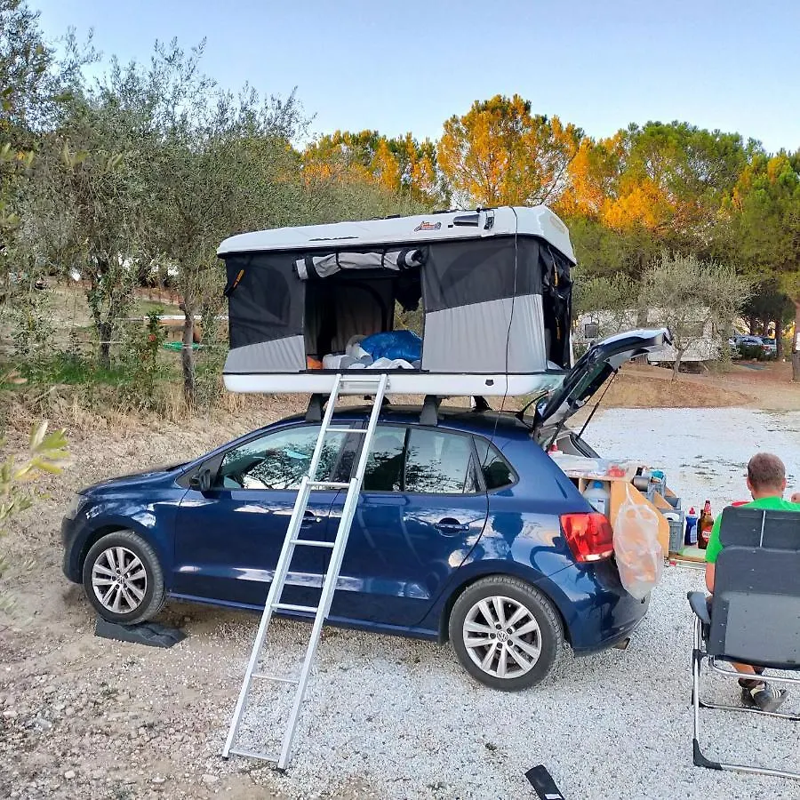 캠프장 Agricamping Poggio Ai Pini Wine Camping 체르탈도