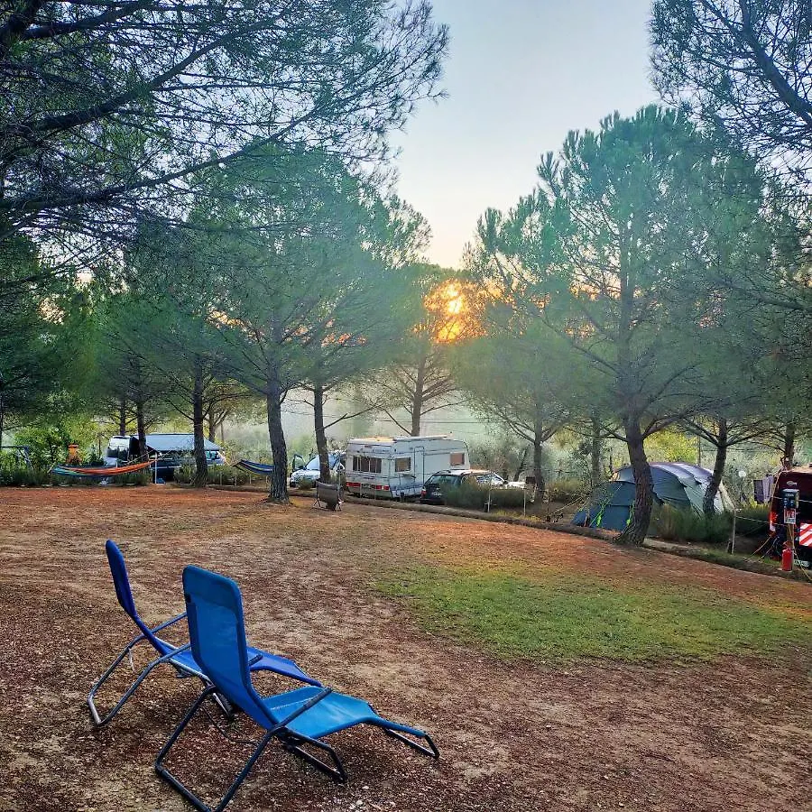 캠프장 Agricamping Poggio Ai Pini Wine Camping 체르탈도