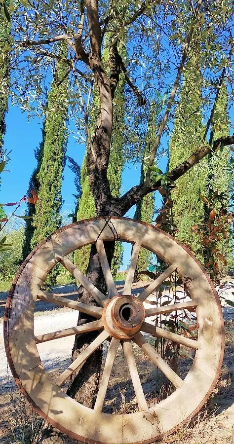 Agricamping Poggio Ai Pini Wine Camping Certaldo