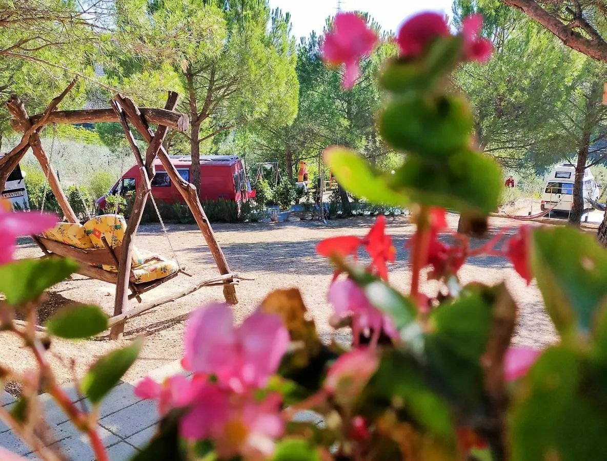 Agricamping Poggio Ai Pini Wine Camping Certaldo Italië