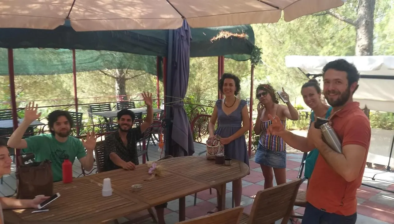 Agricamping Poggio Ai Pini Wine Camping Certaldo Italië